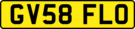 GV58FLO