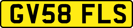 GV58FLS