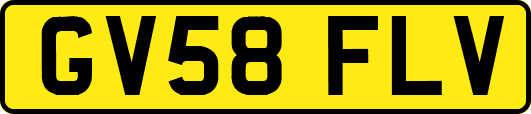 GV58FLV