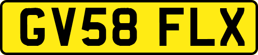 GV58FLX