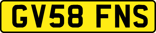 GV58FNS