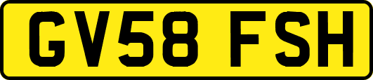 GV58FSH