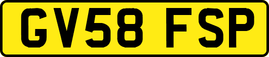 GV58FSP