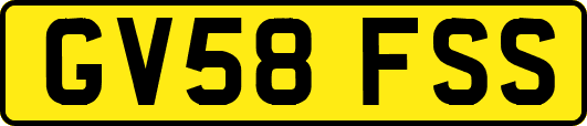 GV58FSS