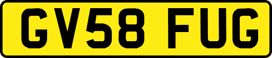 GV58FUG