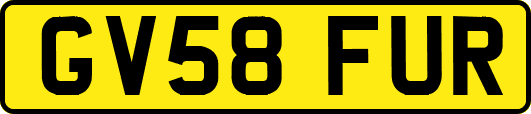 GV58FUR