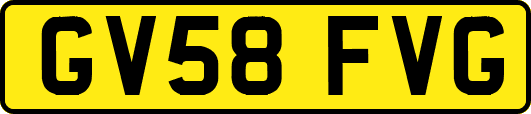 GV58FVG