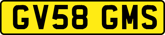 GV58GMS