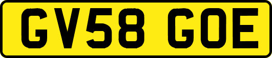 GV58GOE