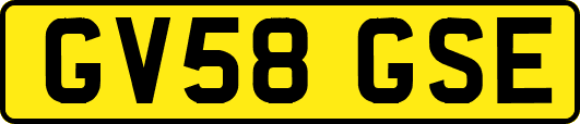 GV58GSE