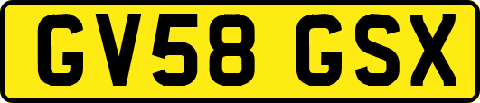 GV58GSX