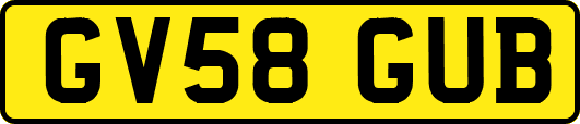 GV58GUB