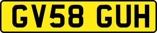 GV58GUH