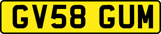 GV58GUM
