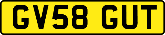 GV58GUT