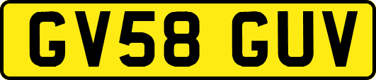 GV58GUV