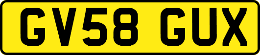 GV58GUX