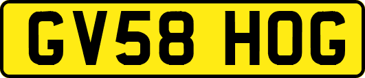 GV58HOG