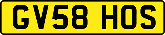 GV58HOS