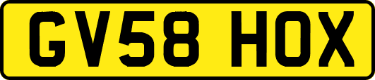 GV58HOX