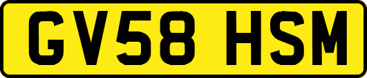 GV58HSM