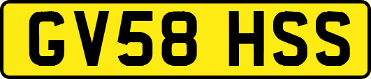 GV58HSS