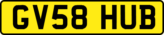 GV58HUB