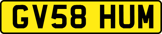 GV58HUM