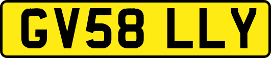 GV58LLY