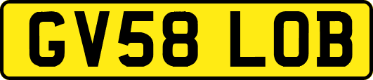 GV58LOB