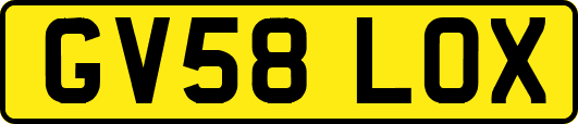 GV58LOX