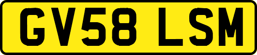 GV58LSM