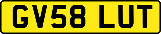 GV58LUT