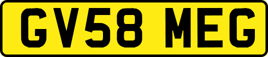 GV58MEG