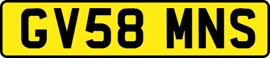 GV58MNS