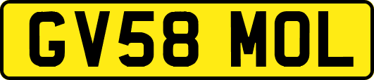 GV58MOL