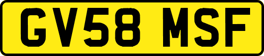 GV58MSF