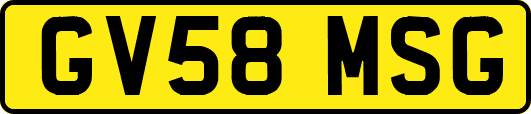 GV58MSG