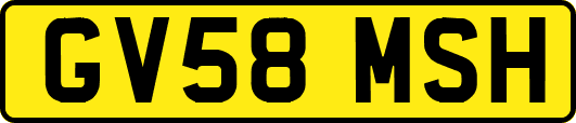 GV58MSH