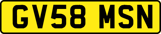 GV58MSN