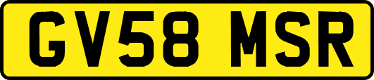 GV58MSR