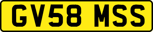 GV58MSS