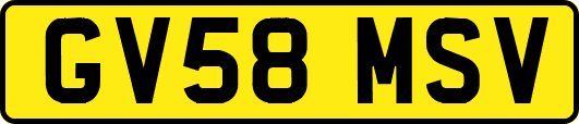 GV58MSV