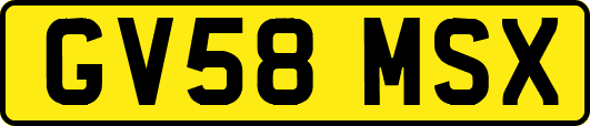 GV58MSX