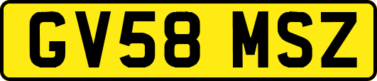 GV58MSZ