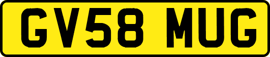 GV58MUG