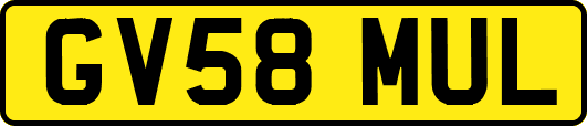 GV58MUL