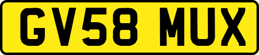 GV58MUX