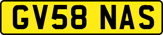 GV58NAS