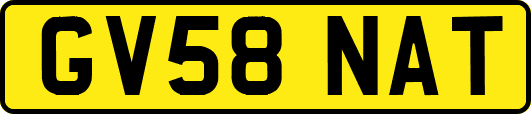 GV58NAT